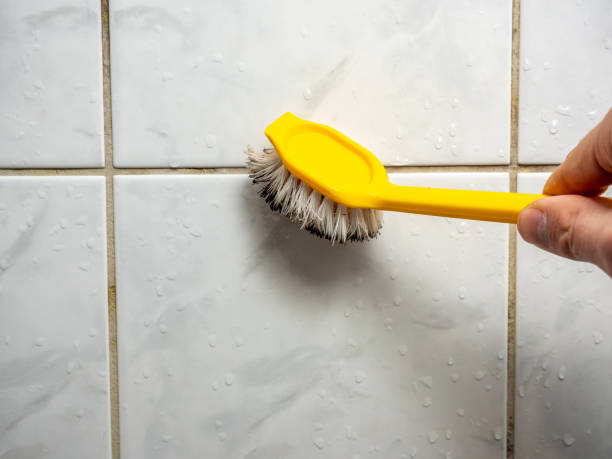 Best Toxic Mold Removal  in Gap, PA