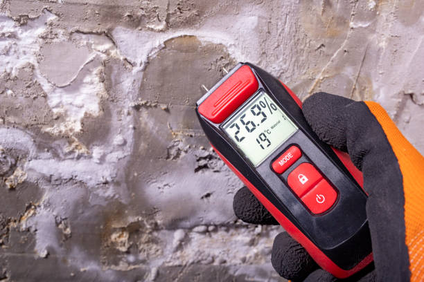Mold Testing and Removal in Gap, PA