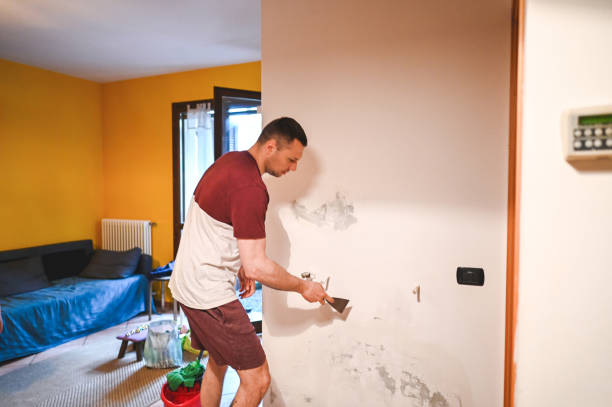 Attic Mold Removal in Gap, PA